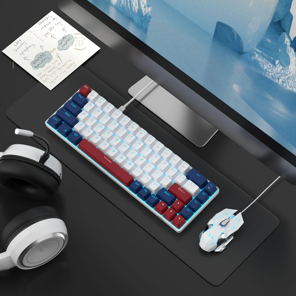 MageGee Portable 60% Mechanical Gaming Keyboard, MK-Box LED Backlit Compact 68 Keys Mini Wired Office Keyboard with Blue Switch for Windows Laptop PC Mac Black/Grey